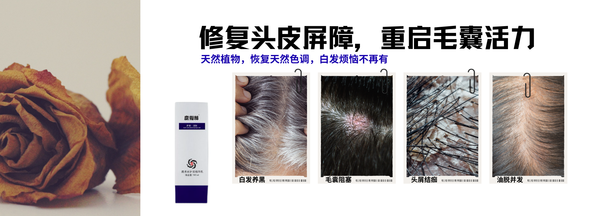 修复头皮屏障，重启毛囊活力