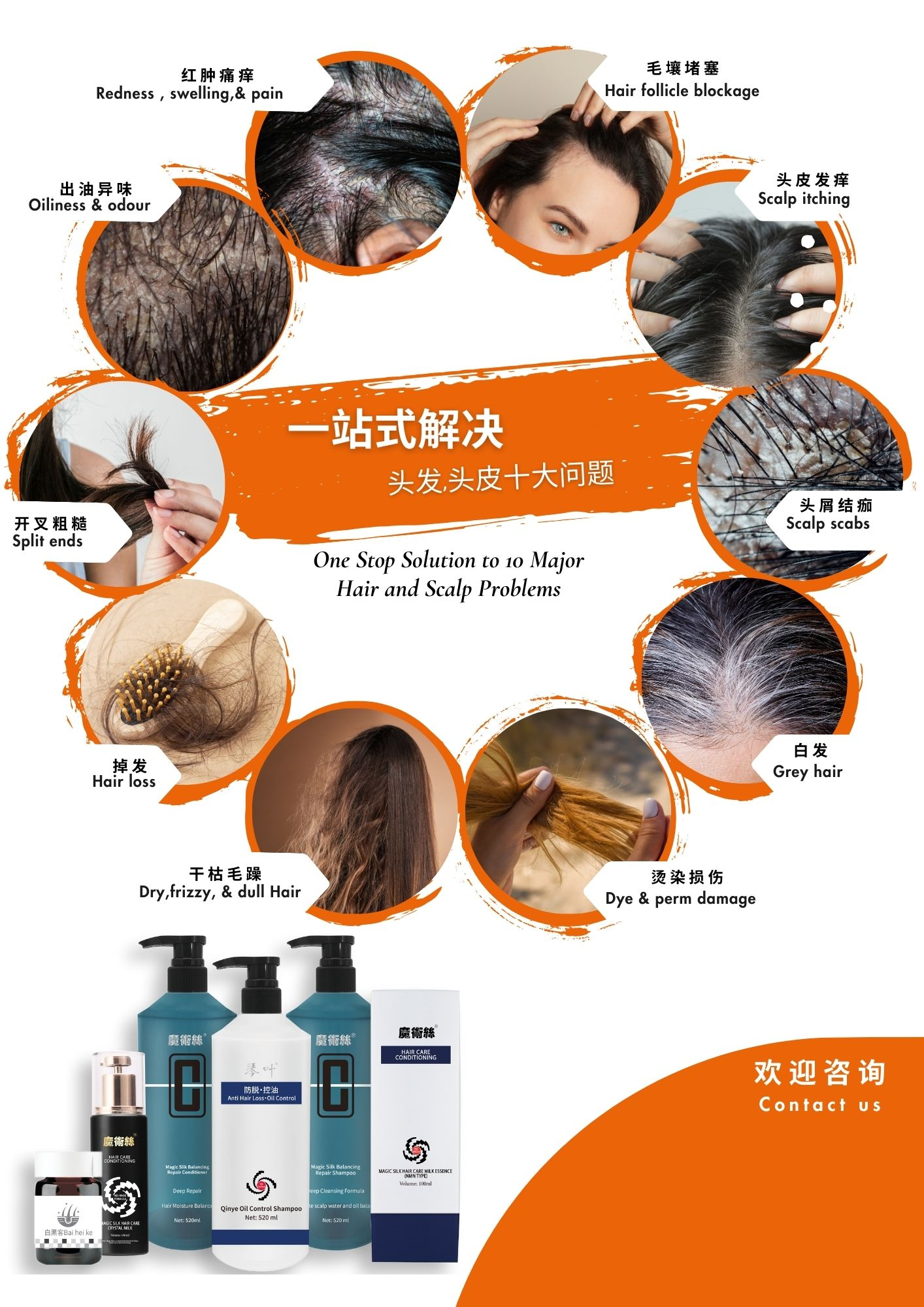 传单/Flyer 中英版(CN/ENG)