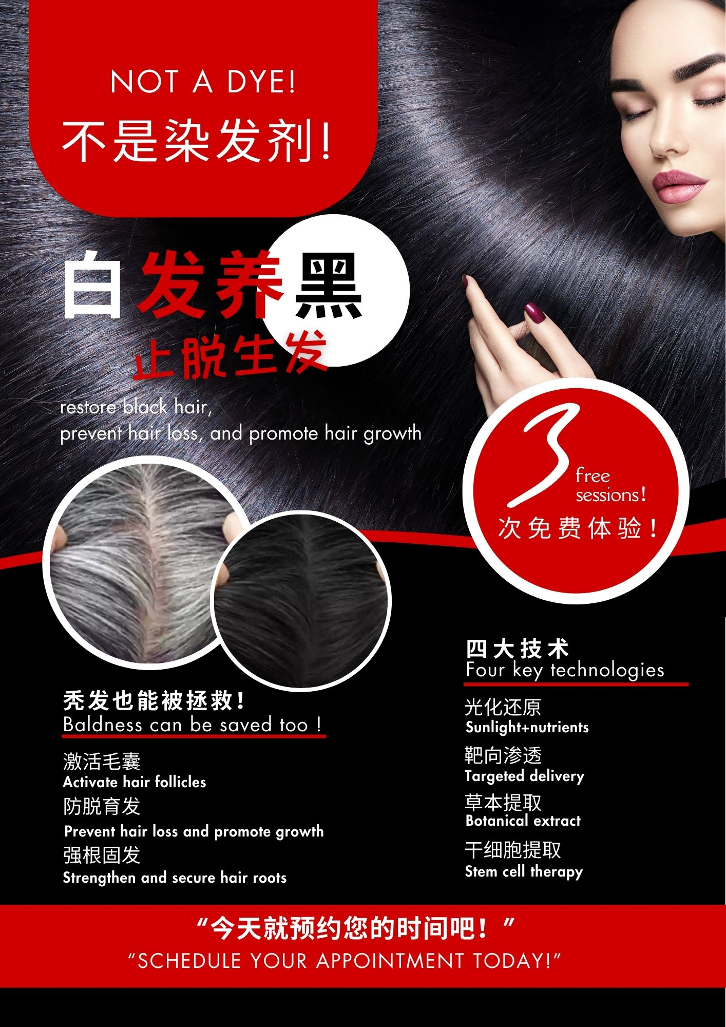 传单/Flyer 中英版(CN/ENG)