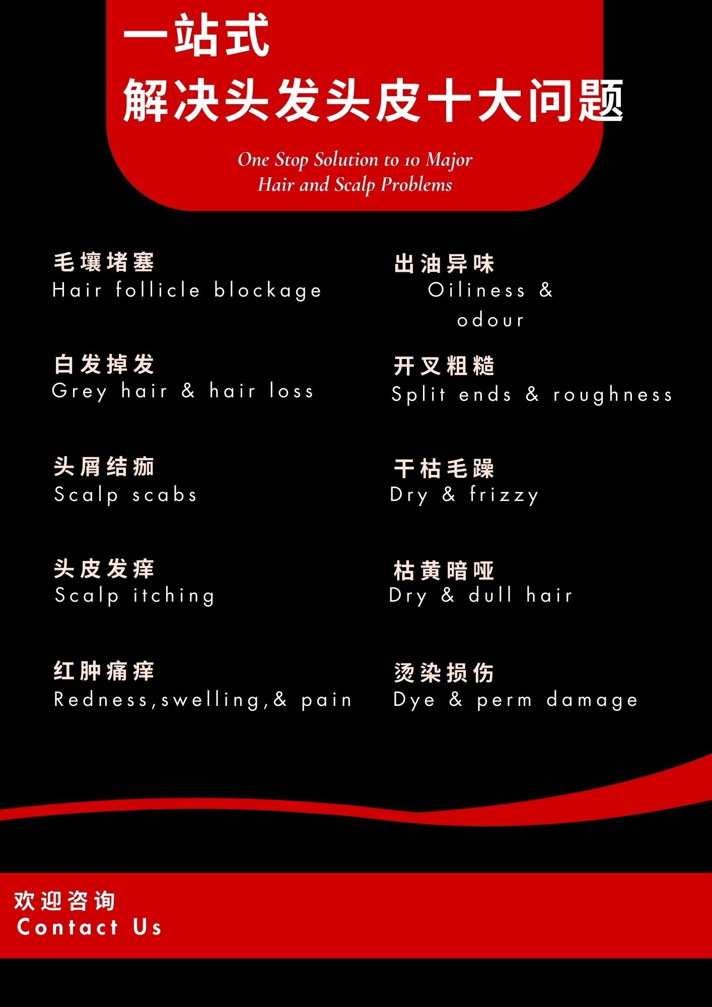 传单/Flyer 中英版(CN/ENG)