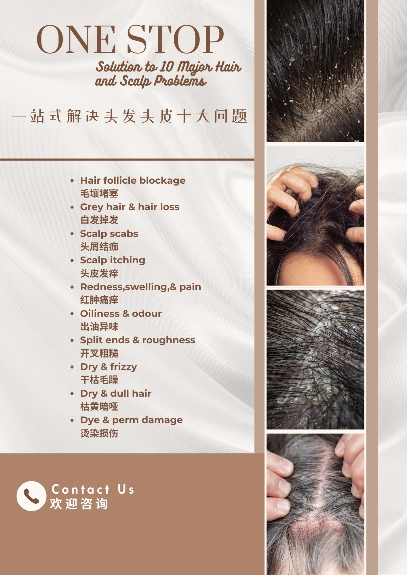 传单/Flyer 中英版(CN/ENG)