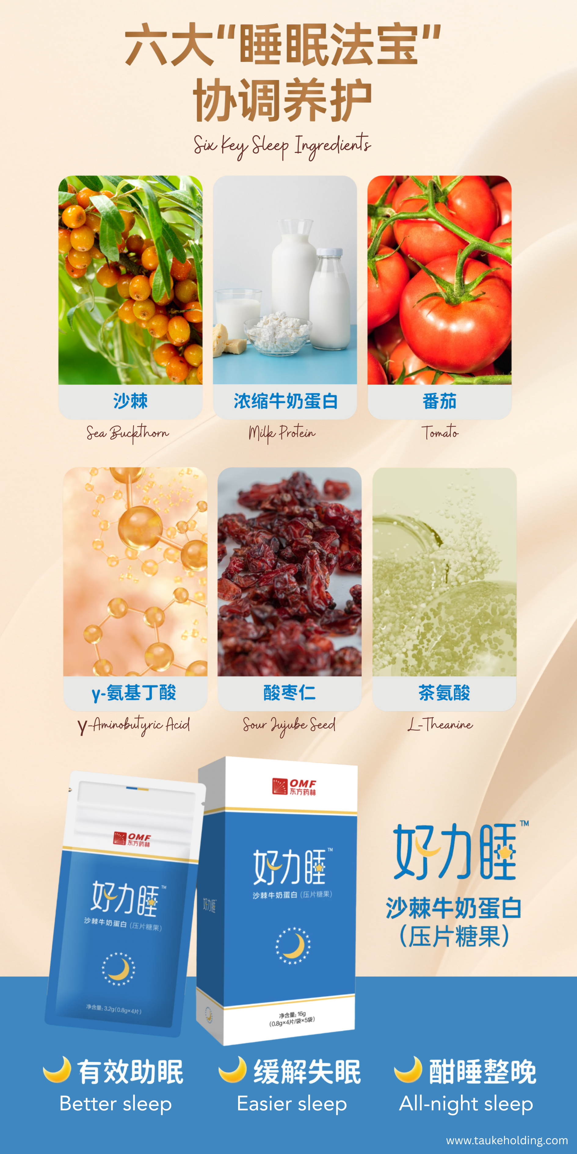 拉式展架 / BANTING(500*1000MM)(CN/ENG)