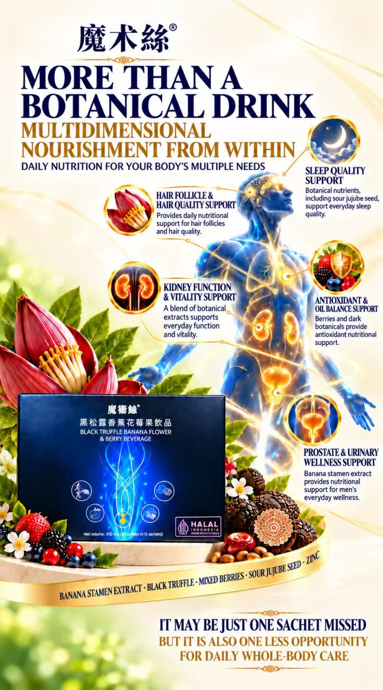 Flyer A4 (ENG)